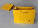 Paper Bag1
