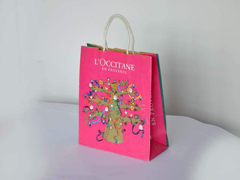Paper Bag9