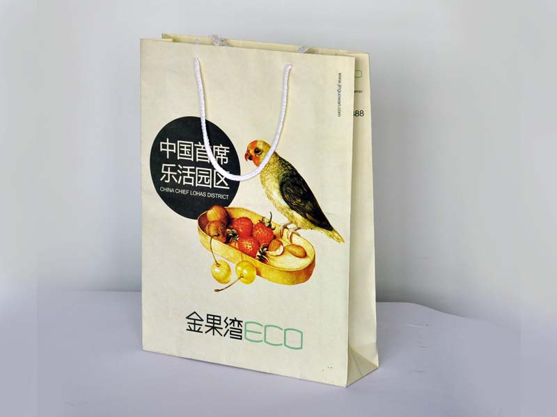 Paper Bag11