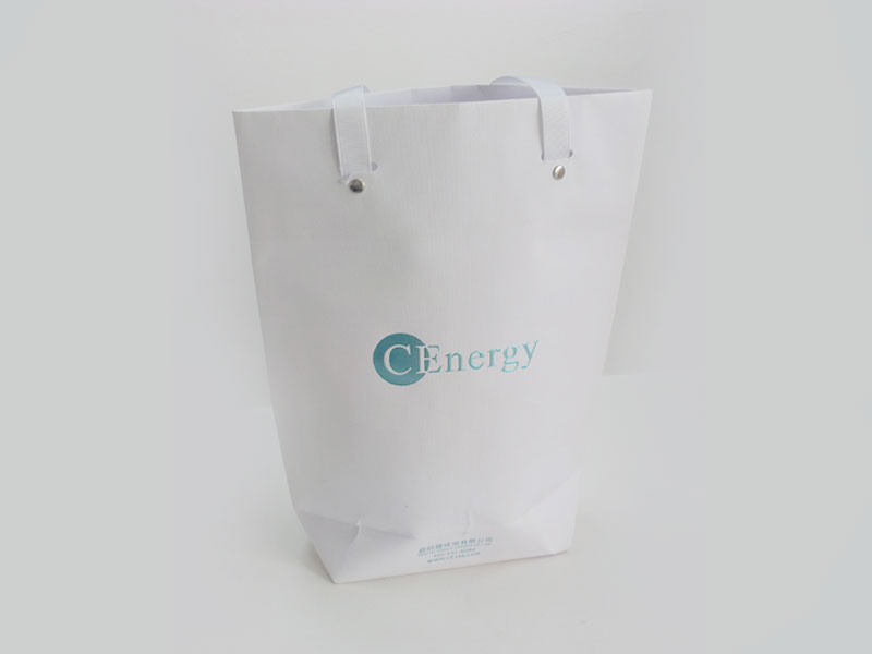 Paper Bag6