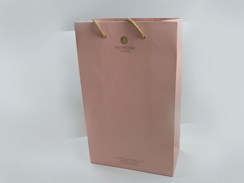 Paper Bag4