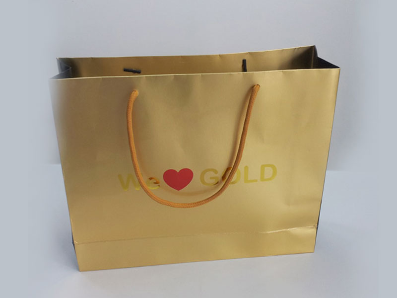 Paper Bag8